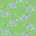 Coastal Cowgirl Collection