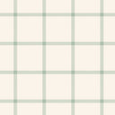 Erin and Ben Co. Farmhouse Check Sage Quilt