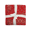 Homestead Bandana Red Baby Blanket