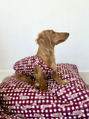 Dachshund Gingham Game Day Maroon Pet Vest