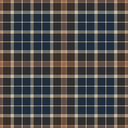 Erin and Ben Co. Primrose Plaid Navy Ruby Vest