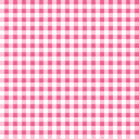 Anthia Gingham Fuchsia Zipper Tote Bag